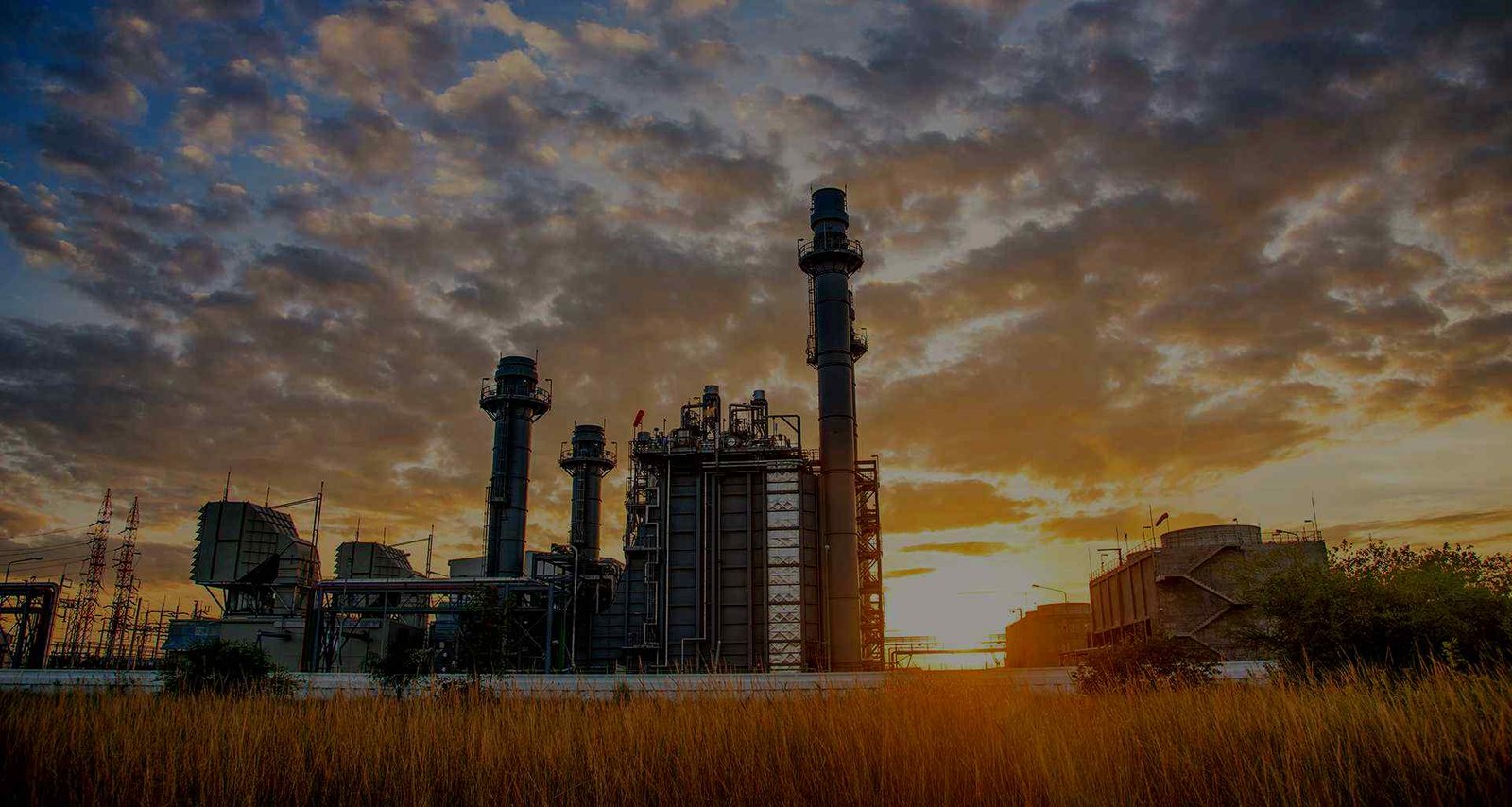 Elpionero Company Limited